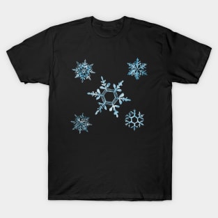 Snowflakes T-Shirt